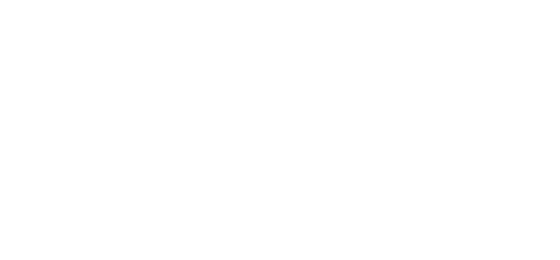 seattle-carpet-cleaning.com